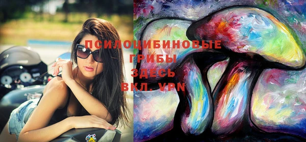 стаф Усинск