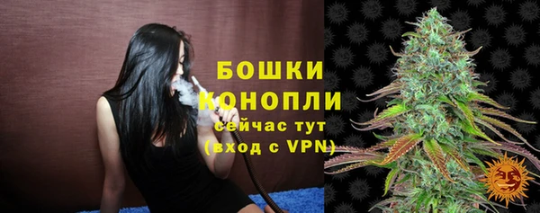 стаф Усинск