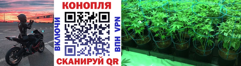 Канабис White Widow  Купить закладки  Сельцо 